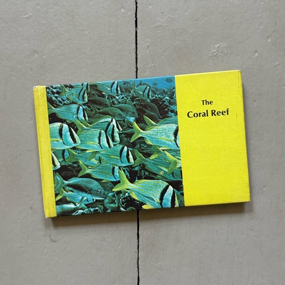 1964 The Coral Reef Tropical Fish Ocean Life Angelfish Photography Animals - Picture 1 of 10